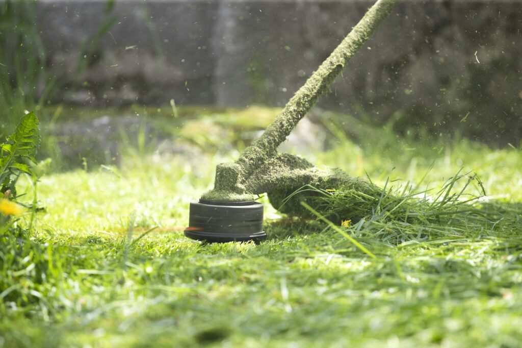 A lawn mower is cutting green grass