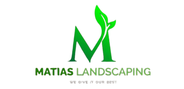 logo removebg preview (1)